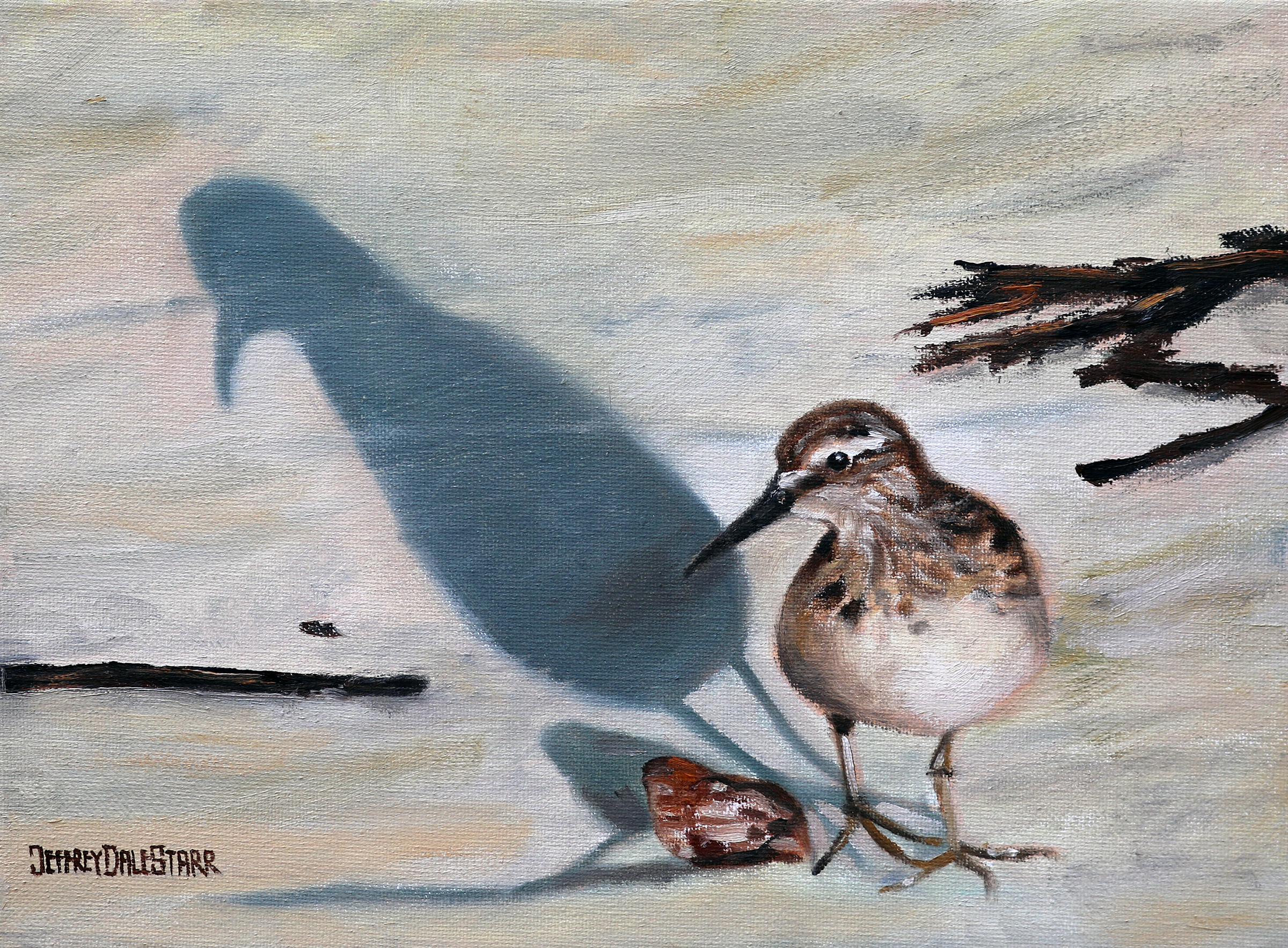 Oil painting "Sandpiper and Shell" by Jeffrey Dale Starr