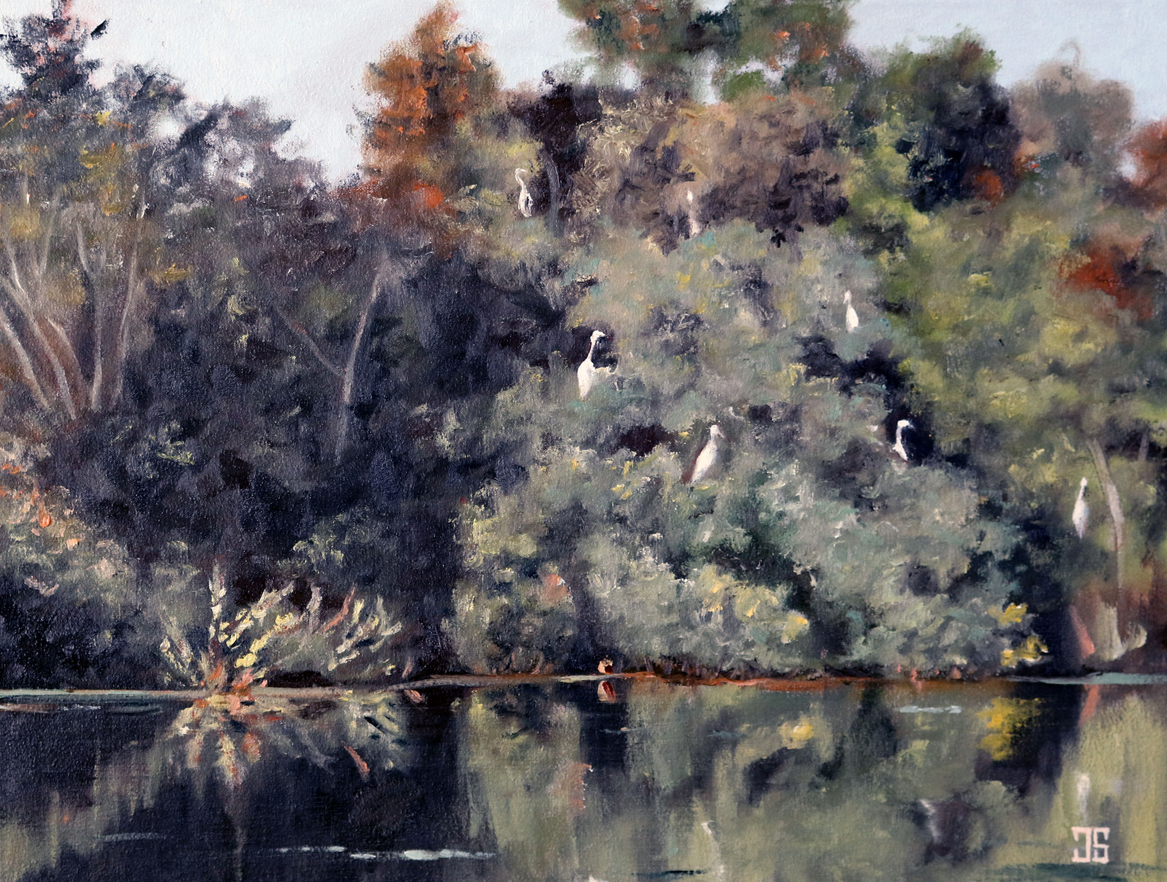 Oil painting "Great Egrets in the Trees, Hopper Pond, West Barnstable" by Jeffrey Dale Starr