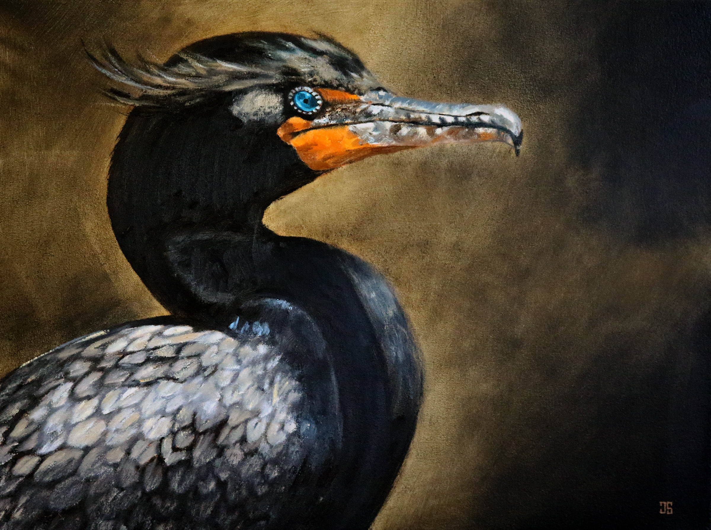 Oil painting "Birds of Cape Cod: Double-Crested Cormorant" by Jeffrey Dale Starr