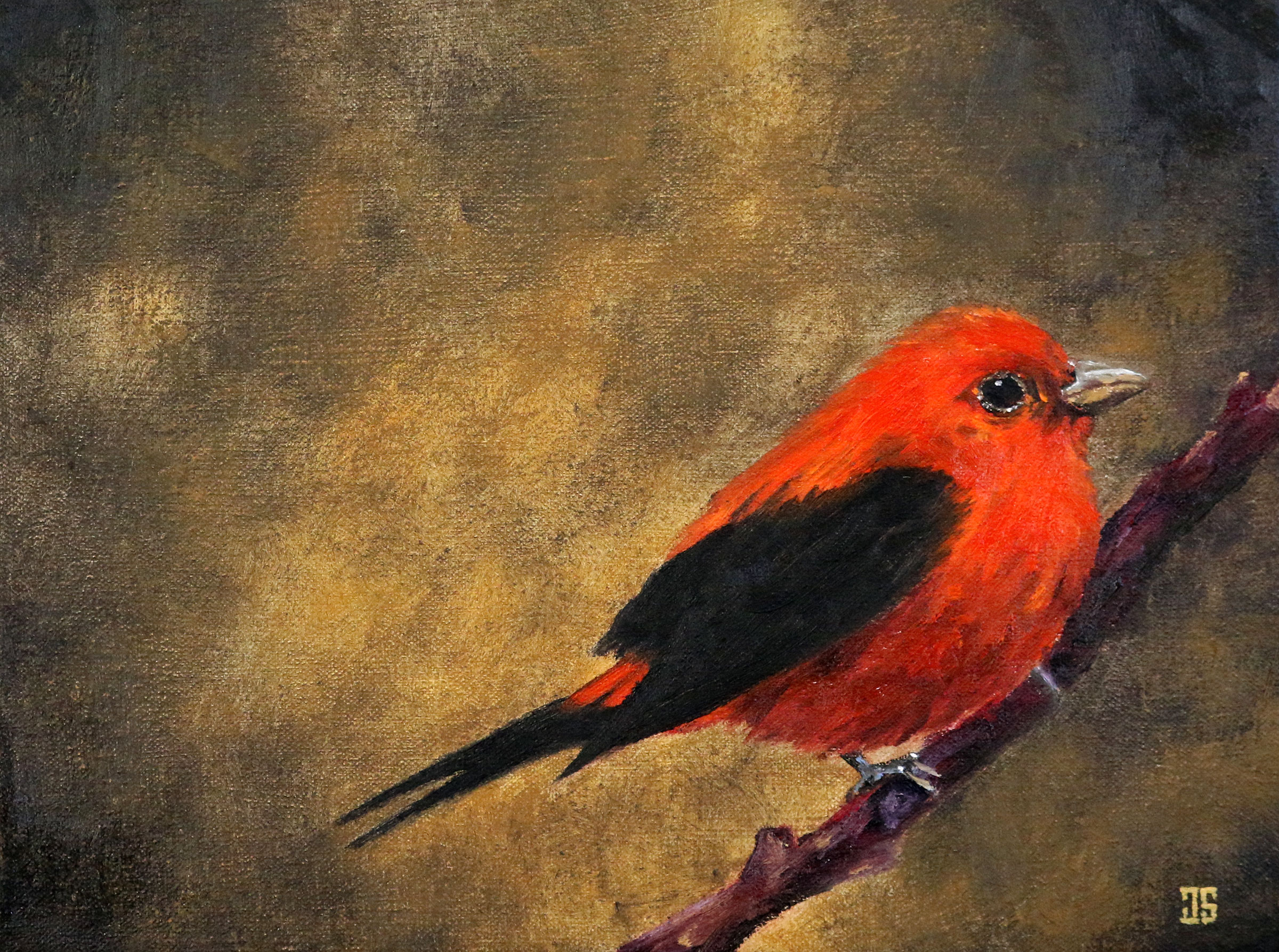 Birds of Cape Cod: Scarlet Tanager (for Geoffrey Mawby) by Jeffrey Dale Starr