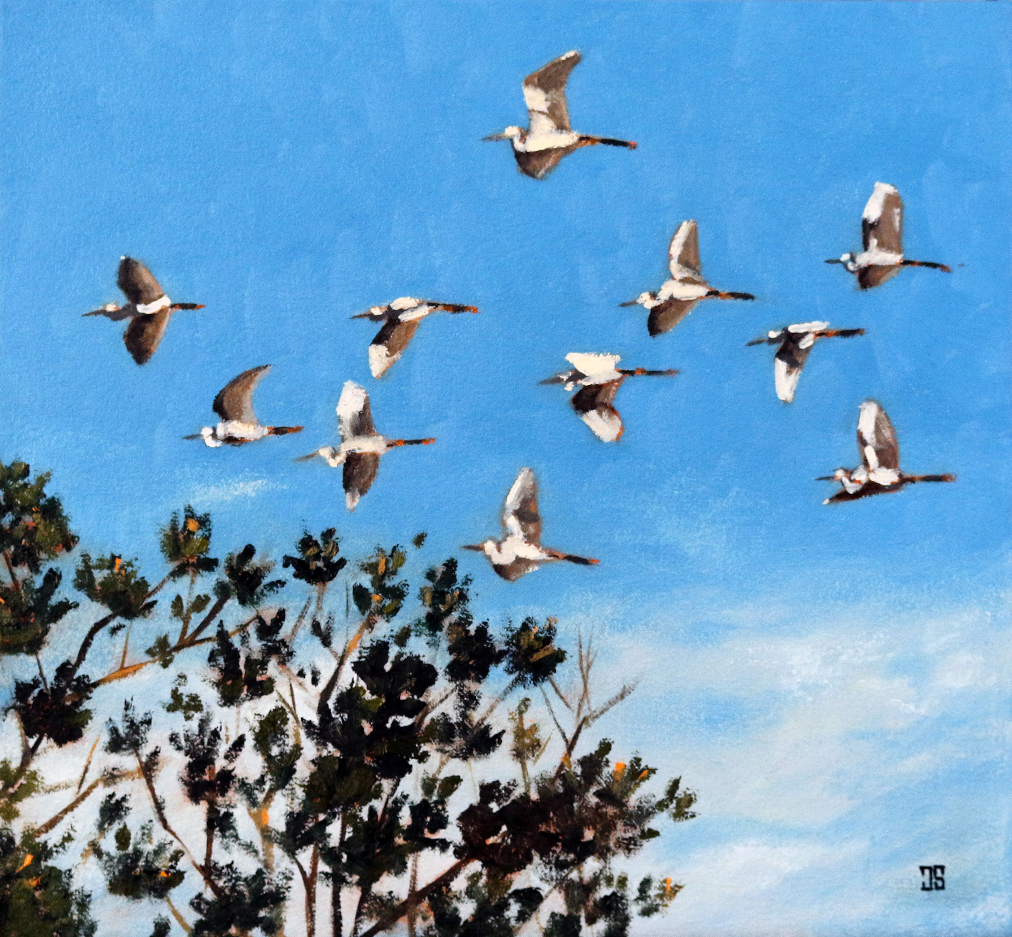 Oil painting "Great Egrets in Flight" by Jeffrey Dale Starr