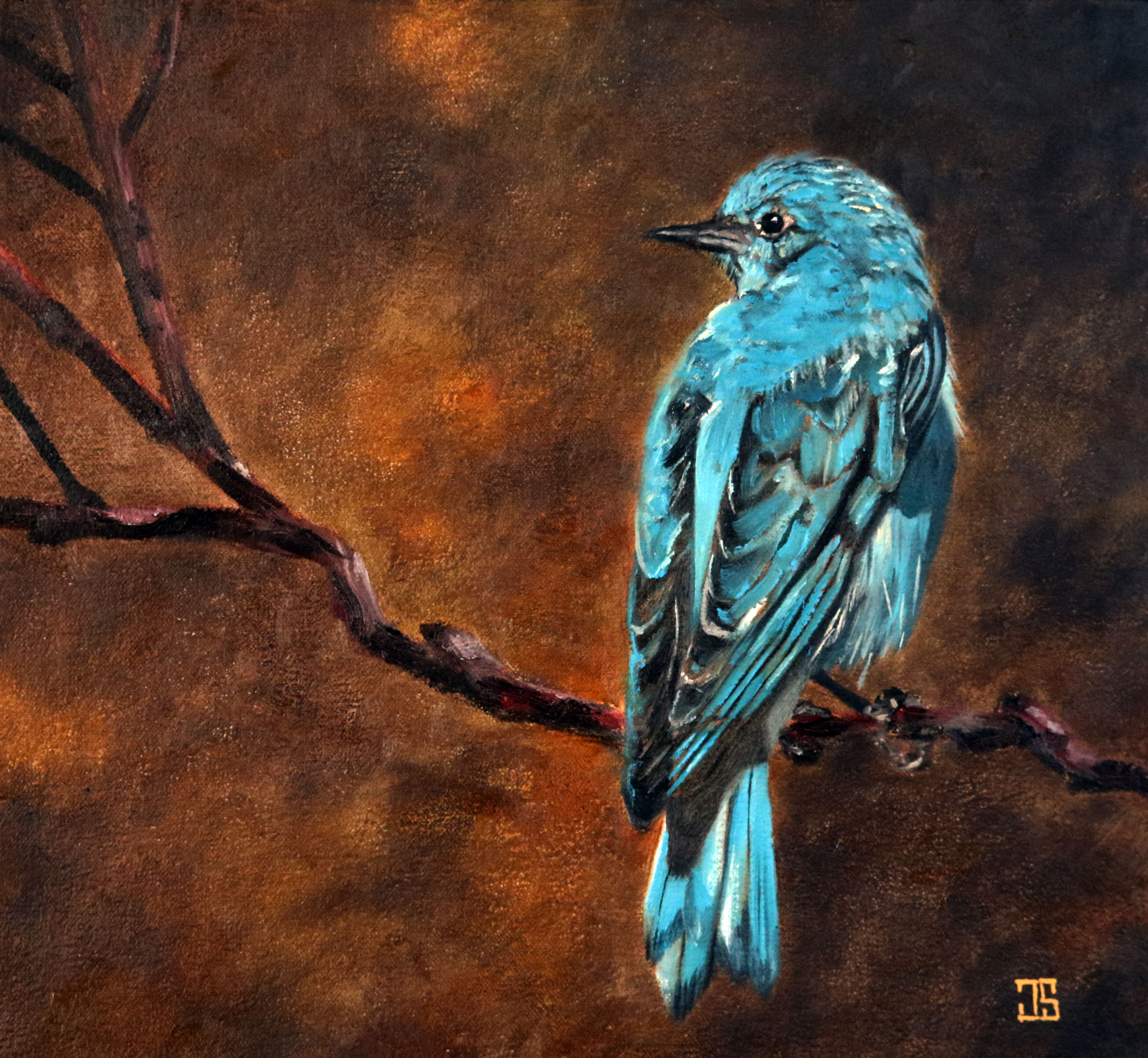 Oil painting "Mountain Bluebird" by Jeffrey Dale Starr