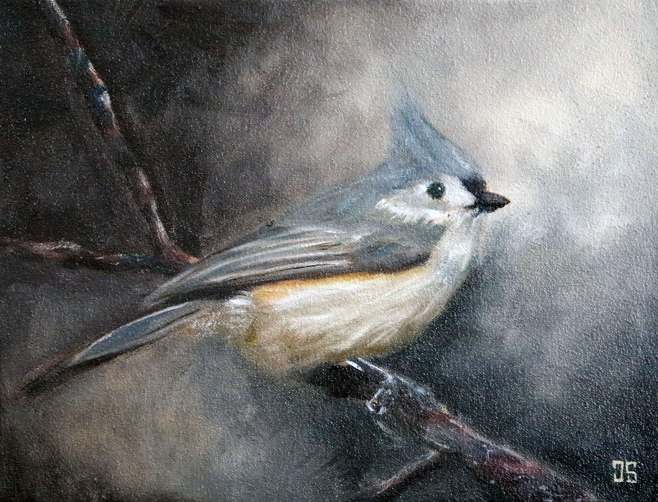 Birds of Cape Cod: Tufted Titmouse