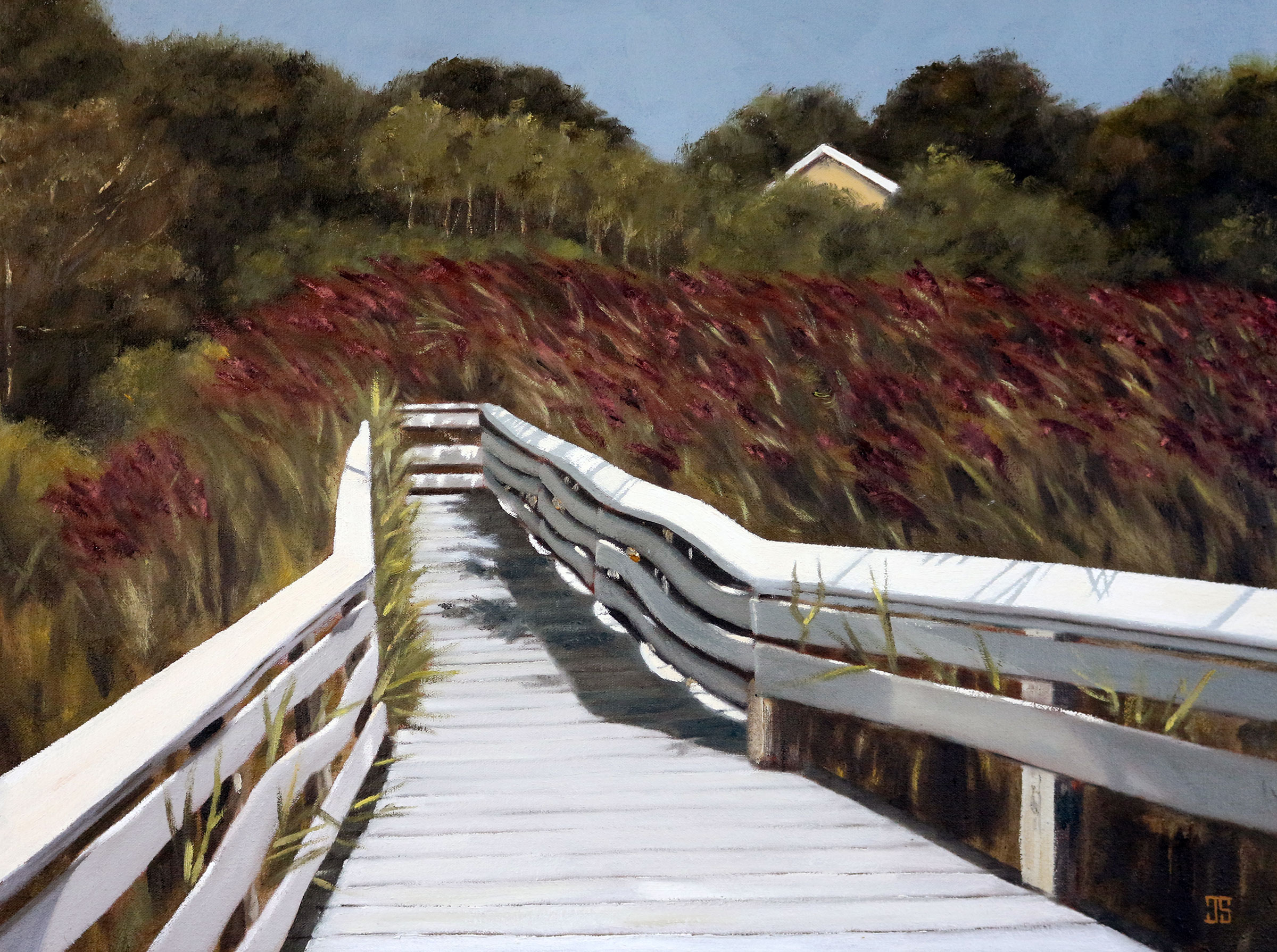 Swan Pond Boardwalk, Cape Cod