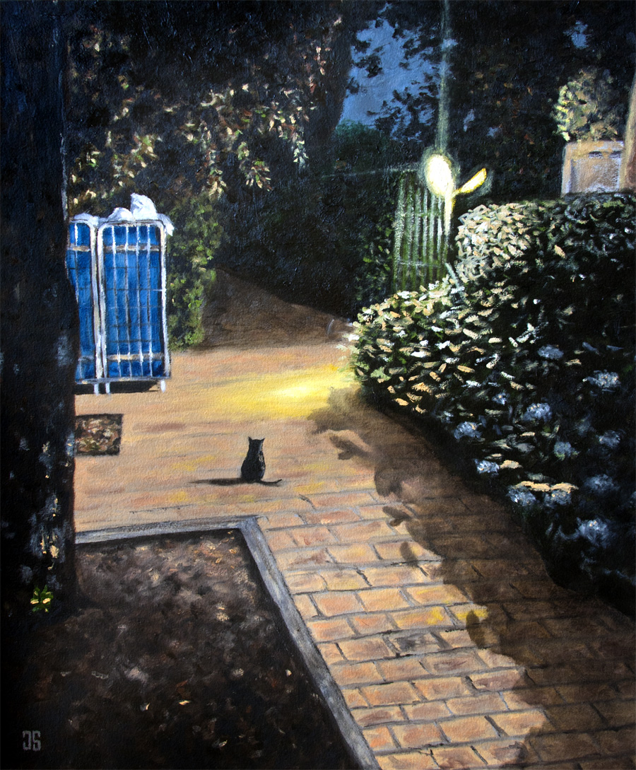 Il Gatto Nero della Toscana by Jeffrey Dale Starr